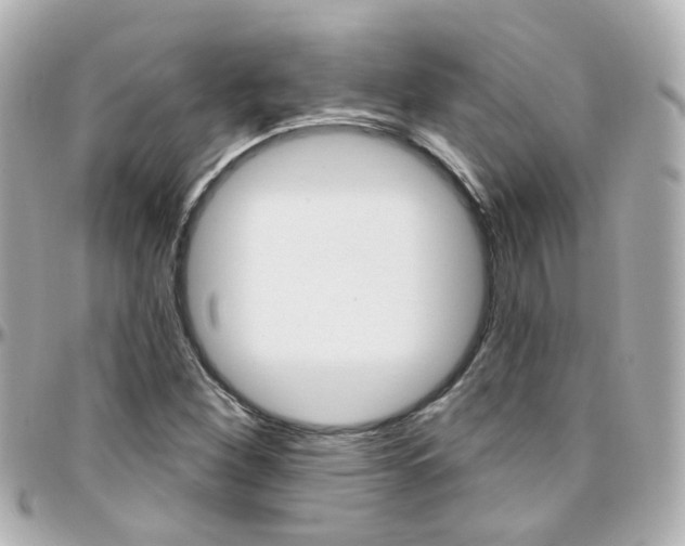 X0000096411260200801241017