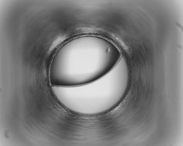 X0000096411261200801241017