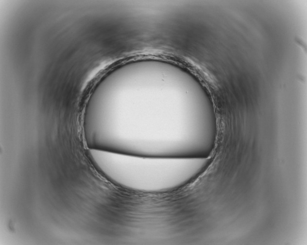 X0000096411262200801241017