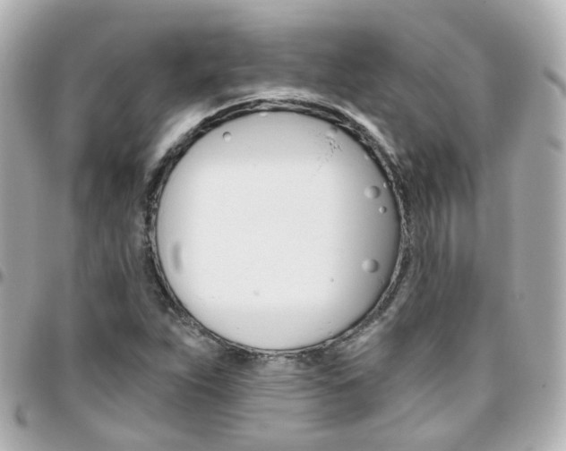 X0000096411263200801241017