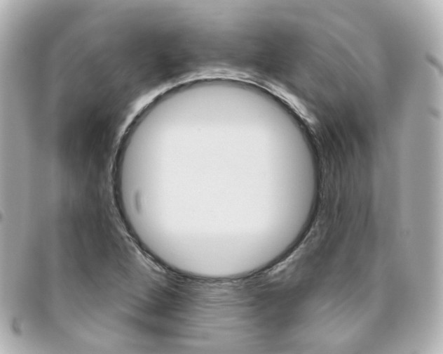 X0000096411264200801241017