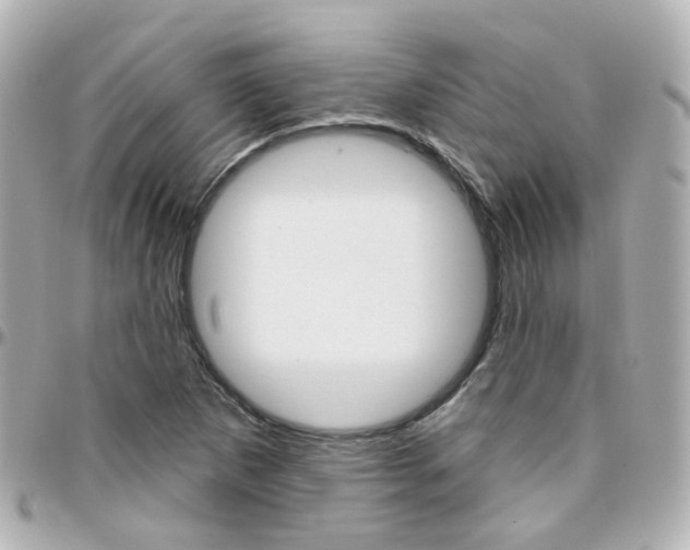 X0000096411265200801241017