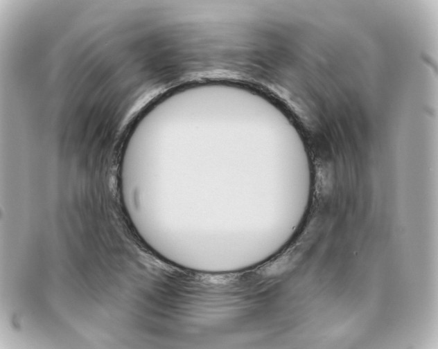 X0000096411266200801241017