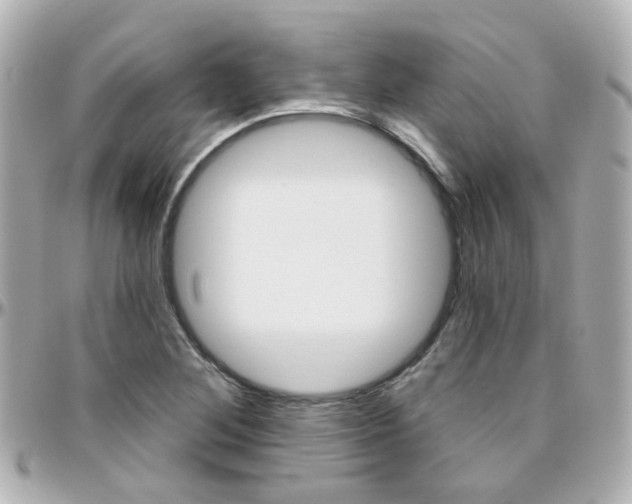 X0000096411268200801241017
