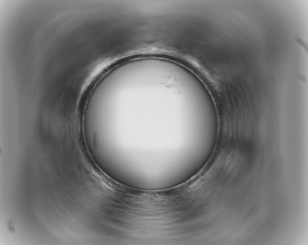 X0000096411270200801241017