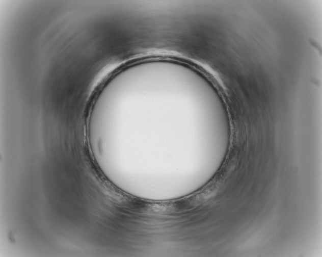 X0000096411271200801241017