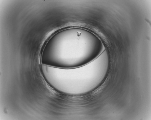 X0000096411272200801241017