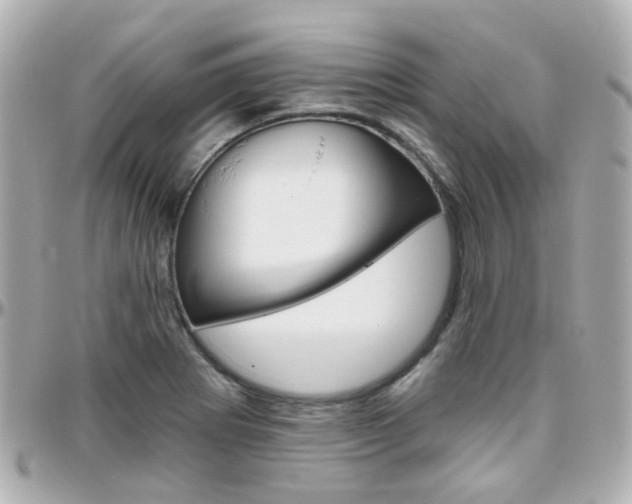 X0000096411273200801241017