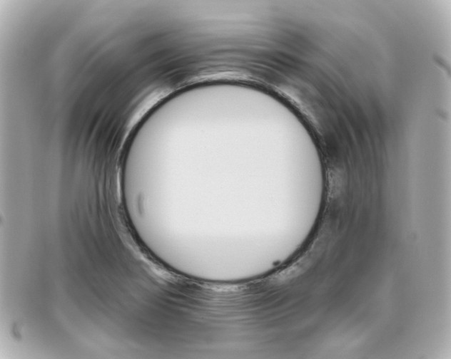 X0000096411274200801241017