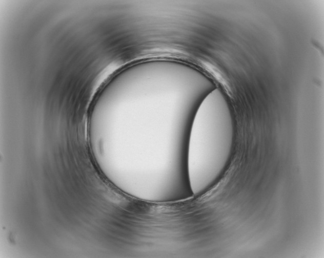 X0000096411275200801241017