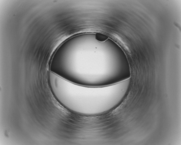 X0000096411276200801241017