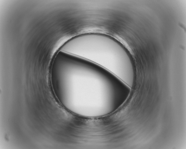 X0000096411277200801241017