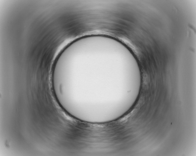 X0000096411278200801241017