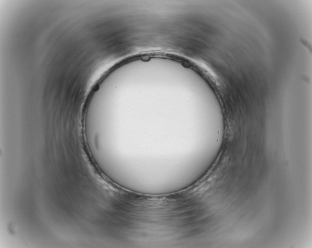 X0000096411279200801241017