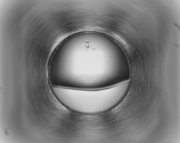 X0000096411280200801241017