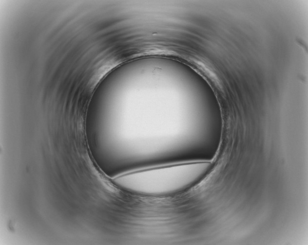 X0000096411281200801241017