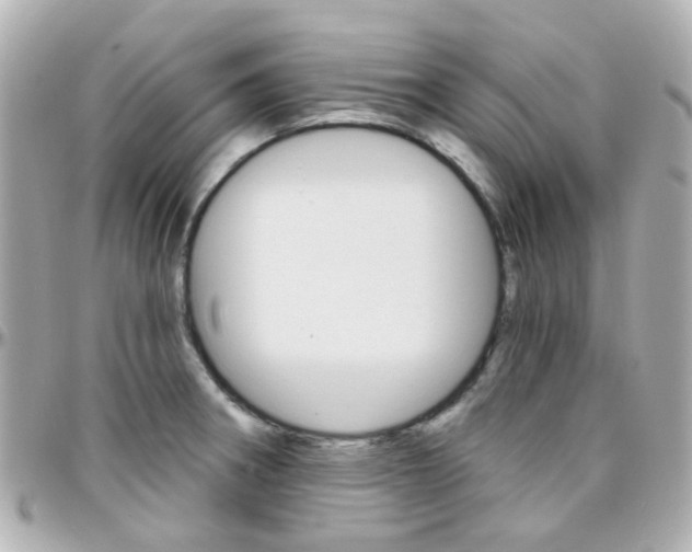 X0000096411282200801241017