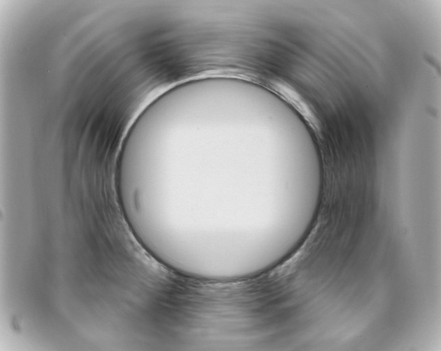 X0000096411284200801241017