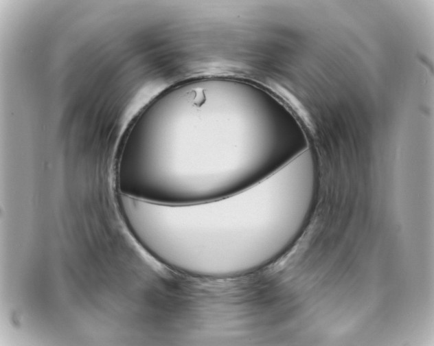 X0000096411285200801241017