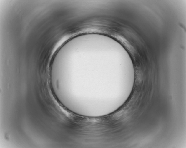 X0000096411286200801241017