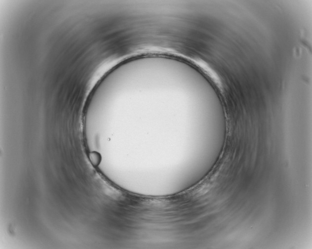 X0000096411287200801241017