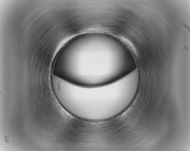 X0000096411288200801241017