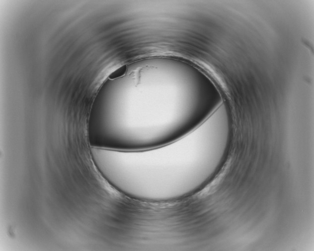 X0000096411289200801241017