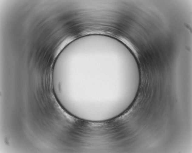 X0000096411290200801241017