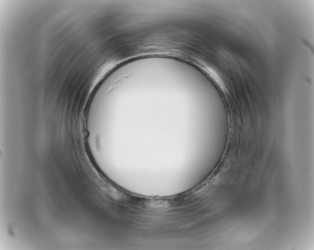 X0000096411291200801241017