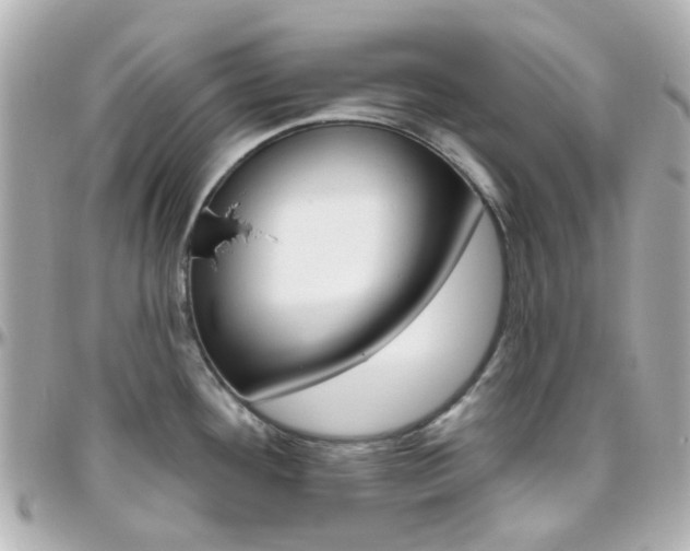 X0000096411292200801241017
