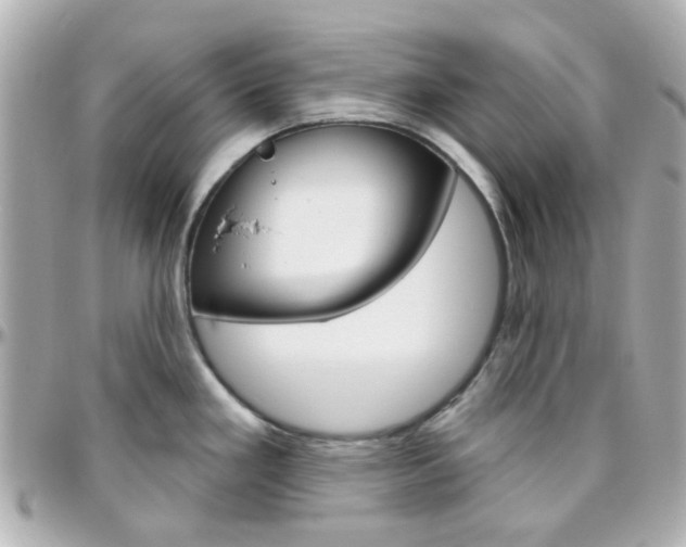 X0000096411293200801241017