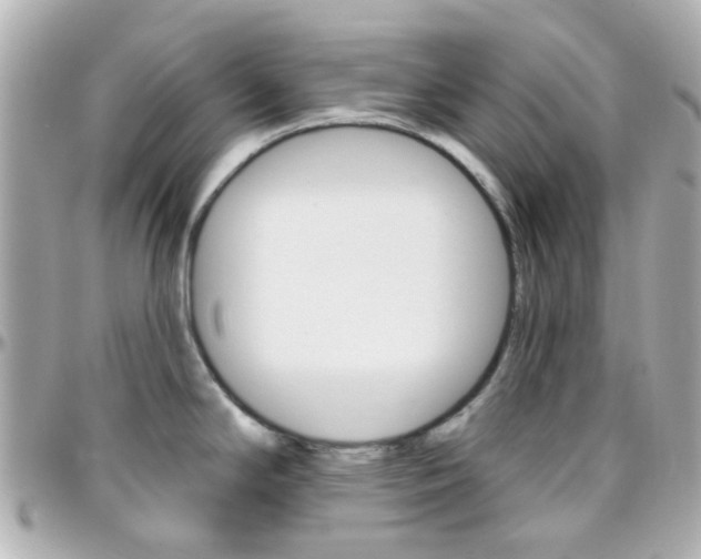 X0000096411294200801241017