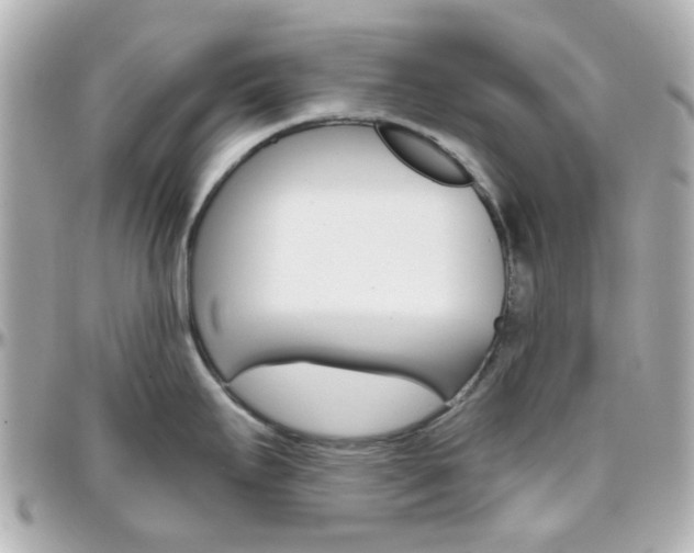 X0000096411295200801241017