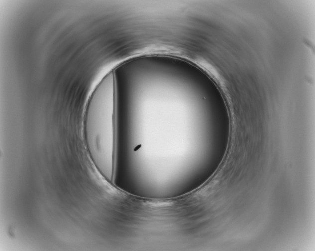 X0000096411296200801241017