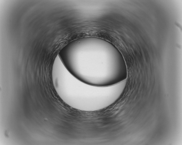 X0000096411298200801241016