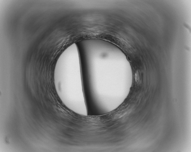 X0000096411299200801241016