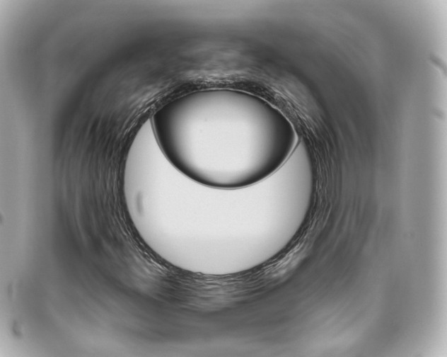 X0000096411300200801241016