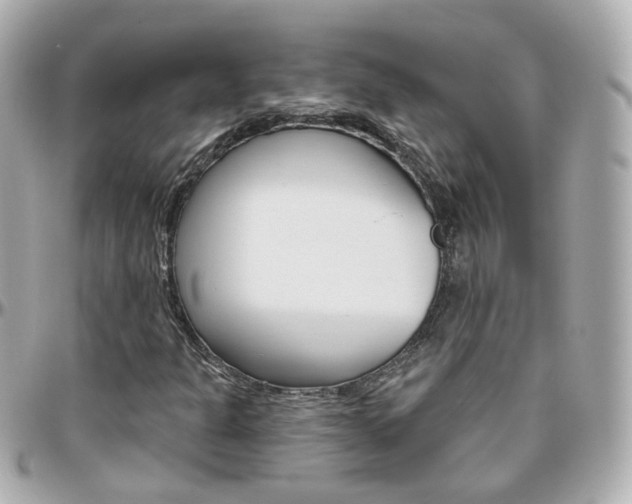 X0000096411301200801241016