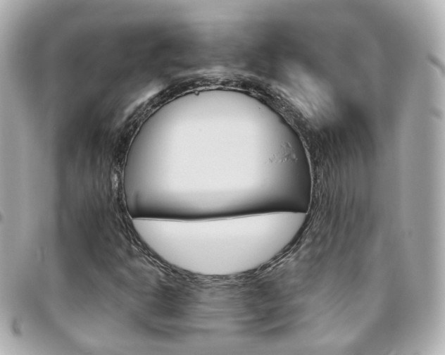 X0000096411302200801241016