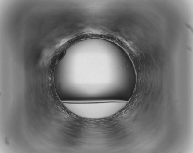 X0000096411303200801241016