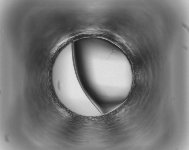 X0000096411304200801241016