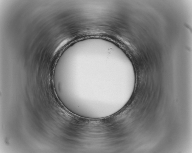 X0000096411306200801241016