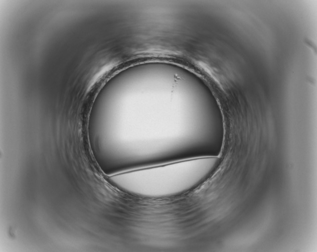 X0000096411307200801241016