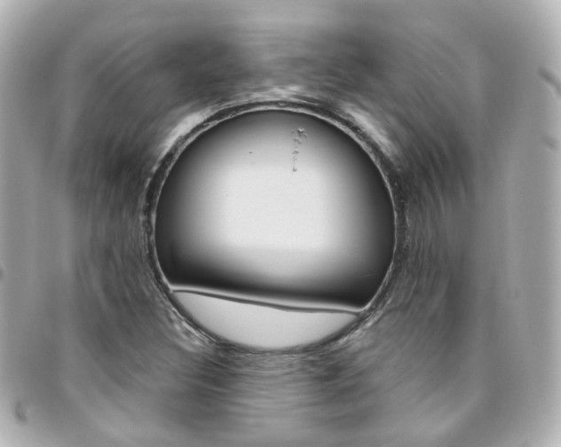 X0000096411308200801241016