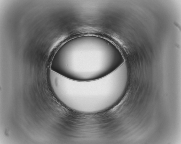 X0000096411309200801241016
