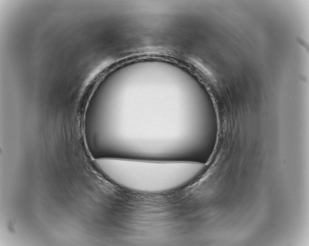 X0000096411310200801241016
