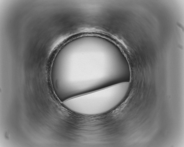 X0000096411311200801241016