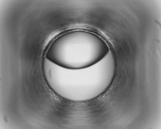 X0000096411312200801241016