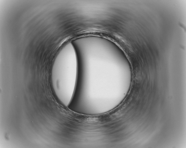 X0000096411313200801241016