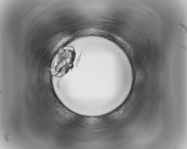 X0000096411314200801241016